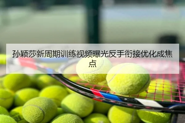 孙颖莎新周期训练视频曝光反手衔接优化成焦点